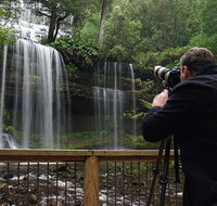 Mt Field and Styx Valley Photography Tour - Nambucca Heads Accommodation