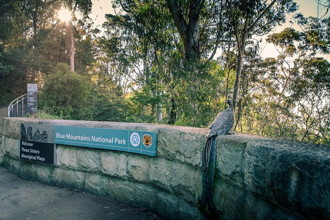 Ultimate Blue Mountains Waterfalls, Walks & Sunset PRIVATE Tour - Nambucca Heads Accommodation 3