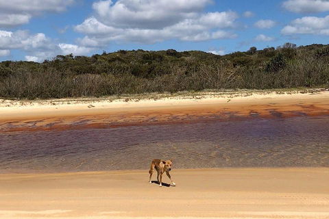 Pippies 3 Days 2 Nights Fraser Island Tour - Nambucca Heads Accommodation 2