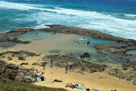 Pippies 3 Days 2 Nights Fraser Island Tour - Nambucca Heads Accommodation 5
