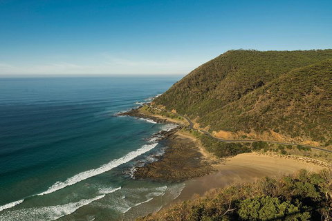 Great Ocean Road Adventure - Private Tour - Reverse - Nambucca Heads Accommodation 2