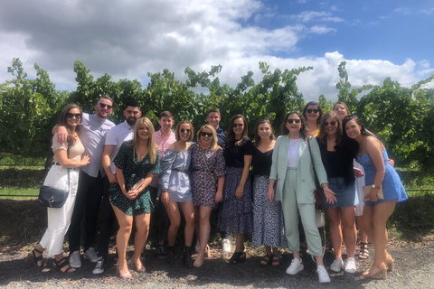 Yarra Valley Public Winery Tours - Nambucca Heads Accommodation 3