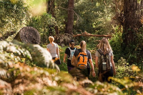 Cabaret Cave Yoga & Mindful Hike - Nambucca Heads Accommodation 2