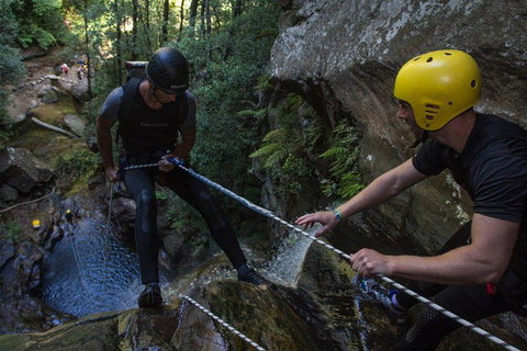 Blue Mountains Empress Canyon Adventure From Wentworth Falls - Nambucca Heads Accommodation 2