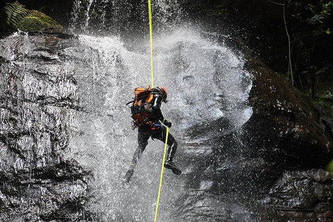 Blue Mountains Empress Canyon Adventure From Wentworth Falls - Nambucca Heads Accommodation 3