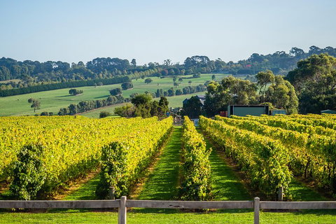 Private Tours From Melbourne - Nambucca Heads Accommodation 1