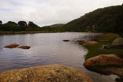 Private Tours From Melbourne - Nambucca Heads Accommodation 2