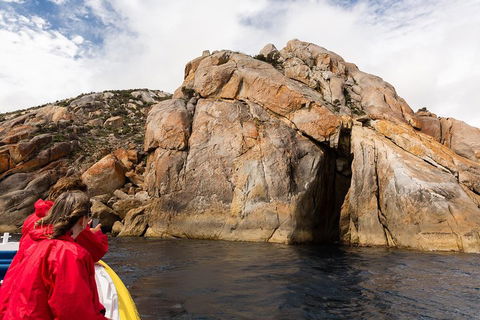 Wilsons Promontory Wilderness Cruise From Tidal River - Nambucca Heads Accommodation 3