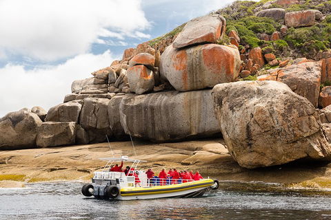Wilsons Promontory Wilderness Cruise From Tidal River - Nambucca Heads Accommodation 4