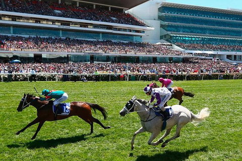 Cultural Melbourne City Tour - Nambucca Heads Accommodation 4