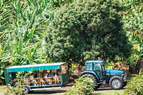 Tropical Fruit World With Wildlife Boat Cruise From Gold Coast - Nambucca Heads Accommodation 1