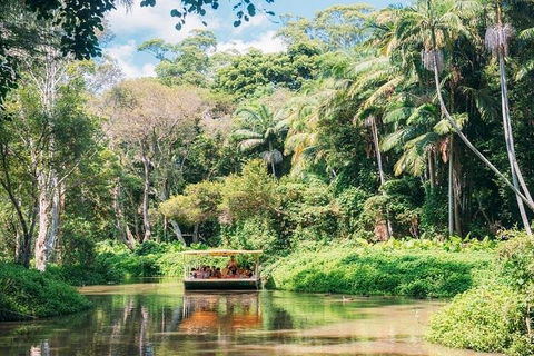 Tropical Fruit World With Wildlife Boat Cruise From Gold Coast - Nambucca Heads Accommodation 3