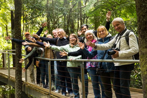 All Inclusive Blue Mountains Small-Group Day Trip From Sydney - Nambucca Heads Accommodation 5