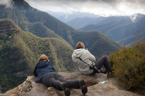 Inside The Greater Blue Mountains World Heritage - A Private Wildlife Safari Overnight - Nambucca Heads Accommodation 0