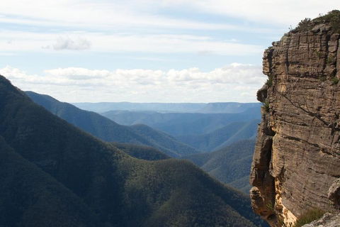 Inside The Greater Blue Mountains World Heritage - A Private Wildlife Safari Overnight - Nambucca Heads Accommodation 4