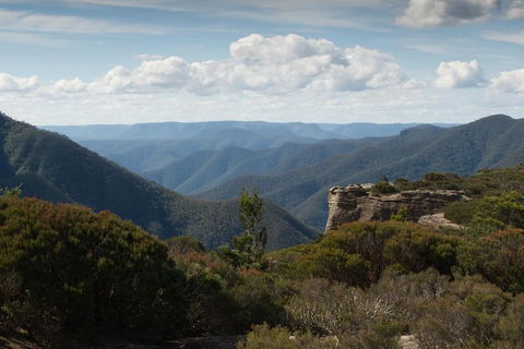 Inside The Greater Blue Mountains World Heritage - A Private Wildlife Safari Overnight - Nambucca Heads Accommodation 5