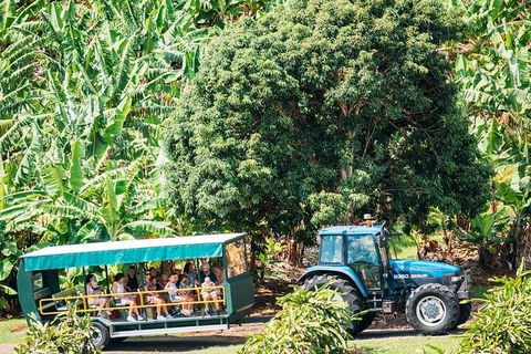 Northern Rivers Full Day Wine Tour - Nambucca Heads Accommodation 1