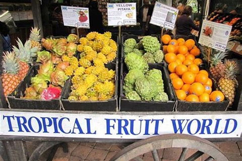 Northern Rivers Full Day Wine Tour - Nambucca Heads Accommodation 3