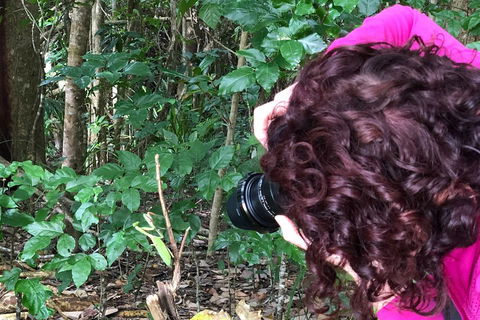 Let's Go Buggin & Let's Go Shroomin - Photography & Nature Walking Tours - Nambucca Heads Accommodation 1
