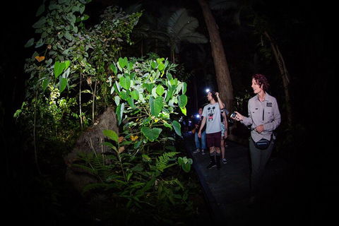 Let's Go Buggin & Let's Go Shroomin - Photography & Nature Walking Tours - Nambucca Heads Accommodation 4