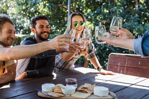 Full-day Wine-Tasting And Tamborine Mountain Tour With Lunch - Nambucca Heads Accommodation 0