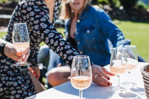 Full-day Wine-Tasting And Tamborine Mountain Tour With Lunch - Nambucca Heads Accommodation 1