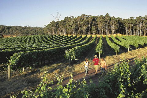 Margaret River, Caves, Wine And Cape Leeuwin Lighthouse Tour From Perth - Nambucca Heads Accommodation 1