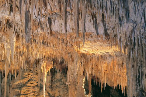 Margaret River, Caves, Wine And Cape Leeuwin Lighthouse Tour From Perth - Nambucca Heads Accommodation 3