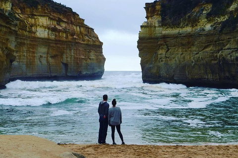 Great Ocean Road Small-Group Ecotour From Melbourne - Nambucca Heads Accommodation 1