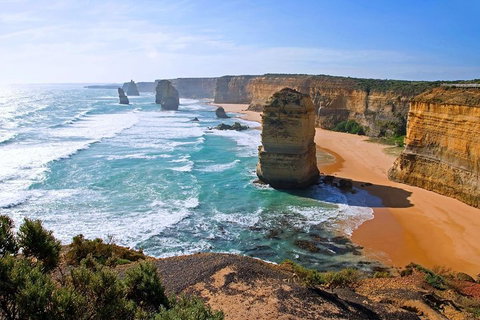 Great Ocean Road Small-Group Ecotour From Melbourne - Nambucca Heads Accommodation 2
