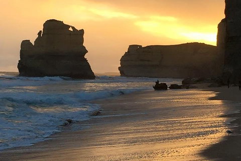 Great Ocean Road Small-Group Ecotour From Melbourne - Nambucca Heads Accommodation 5