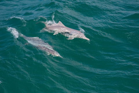 North Stradbroke Island Private Tour With Pickup - Nambucca Heads Accommodation 0