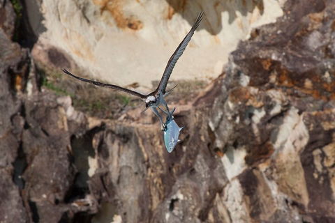 North Stradbroke Island Private Tour With Pickup - Nambucca Heads Accommodation 2