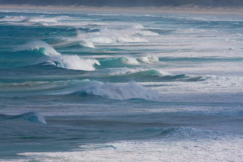 North Stradbroke Island Private Tour With Pickup - Nambucca Heads Accommodation 3