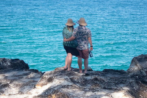 North Stradbroke Island Private Tour With Pickup - Nambucca Heads Accommodation 4