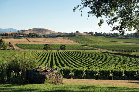 Yarra Valley Premium Tour Inc Lunch And Cheese, Chocolate Fondue At Rochford - Nambucca Heads Accommodation 1