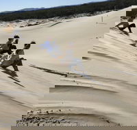 Port Stephens Bush Beach and Sand Dune 4WD Tag-Along Tour - Nambucca Heads Accommodation