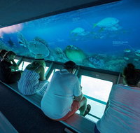 Great Barrier Reef Day Cruise to Reefworld - Nambucca Heads Accommodation
