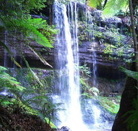 Mt Field National Park and Russell Falls from Hobart - Nambucca Heads Accommodation