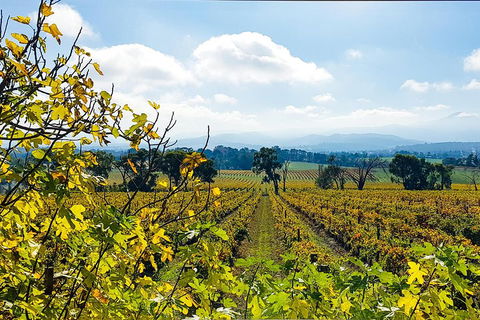 Yarra Valley Wine & Food Tour Departing From Melbourne - Nambucca Heads Accommodation 4