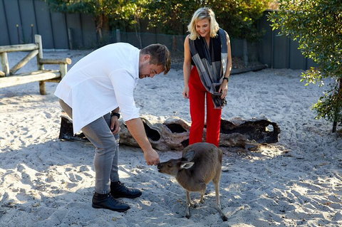 Albany's Whale Story - Nambucca Heads Accommodation 1