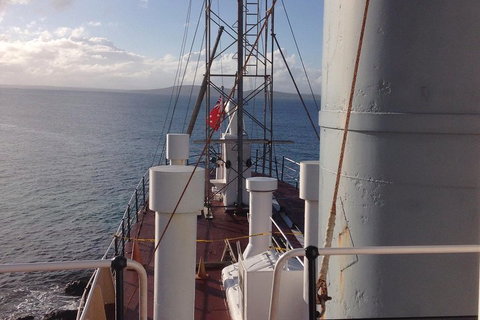 Albany's Whale Story - Nambucca Heads Accommodation 2