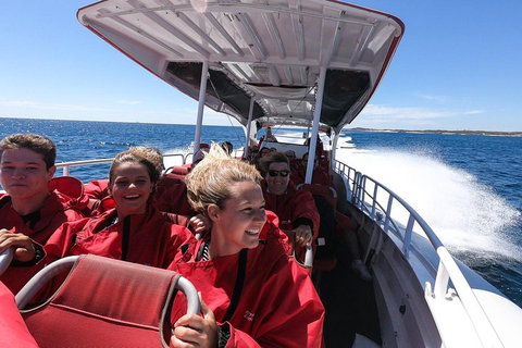 Adventure Rottnest Tour With Ferry & Adventure Cruise From Perth Or Fremantle - Nambucca Heads Accommodation 0