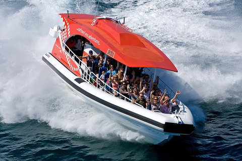 Adventure Rottnest Tour With Ferry & Adventure Cruise From Perth Or Fremantle - Nambucca Heads Accommodation 2