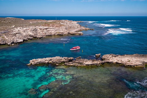 Adventure Rottnest Tour With Ferry & Adventure Cruise From Perth Or Fremantle - Nambucca Heads Accommodation 3