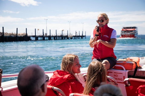 Adventure Rottnest Tour With Ferry & Adventure Cruise From Perth Or Fremantle - Nambucca Heads Accommodation 4