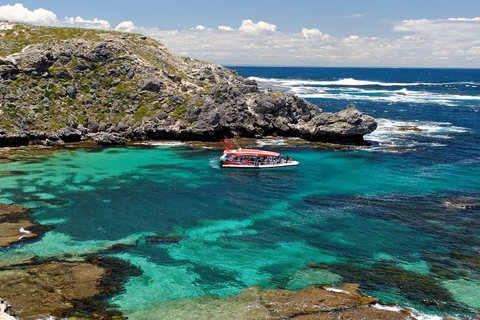 Adventure Rottnest Tour With Ferry & Adventure Cruise From Perth Or Fremantle - Nambucca Heads Accommodation 5