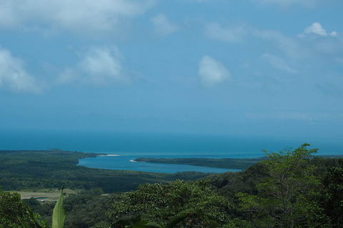 Cape Tribulation, Daintree Rainforest And Wildlife Tour - Nambucca Heads Accommodation 1