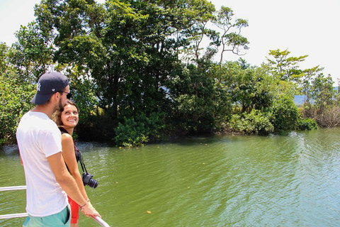 Cape Tribulation, Daintree Rainforest And Wildlife Tour - Nambucca Heads Accommodation 2