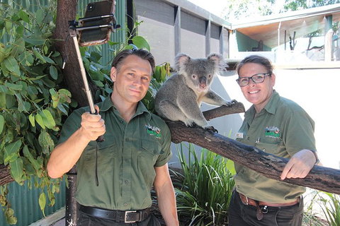 Virtual Interactive Australian Wildlife Tour With Private Guide-Wildlife Habitat - Nambucca Heads Accommodation 0